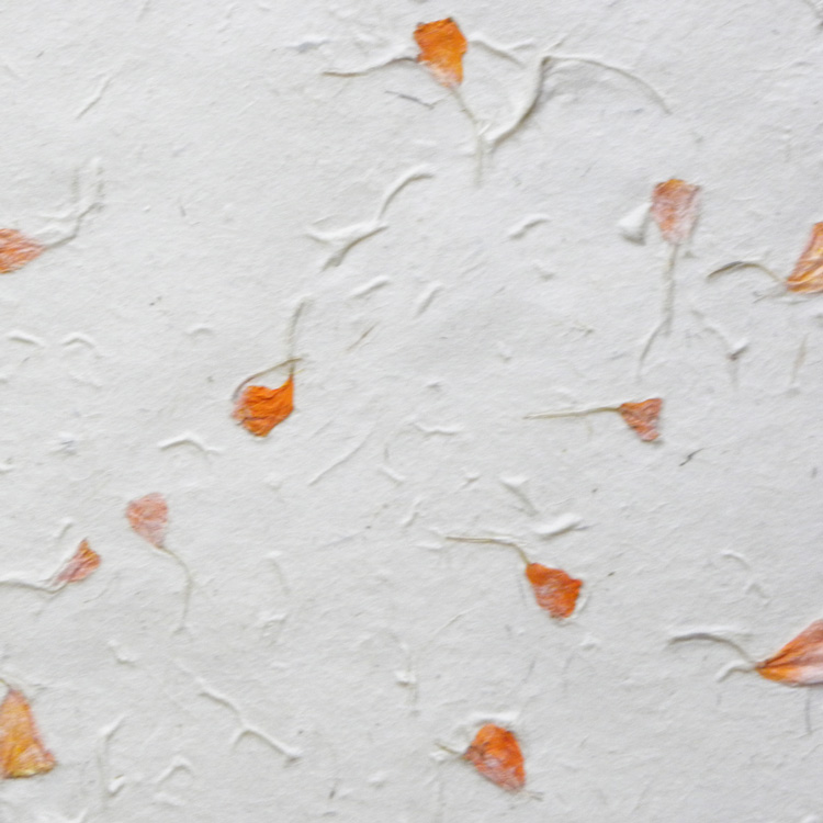 Loktapapier naturel met bloemen 75x50