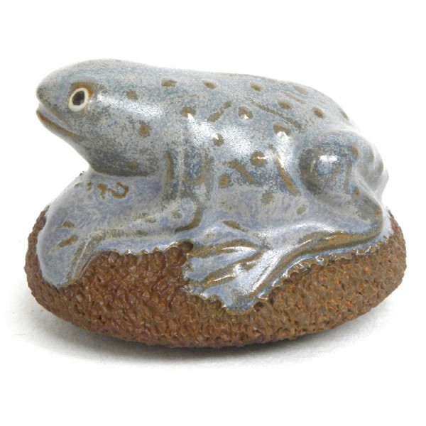 Scrubsteen Frog